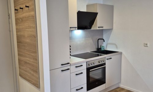Appartement Premium Küche