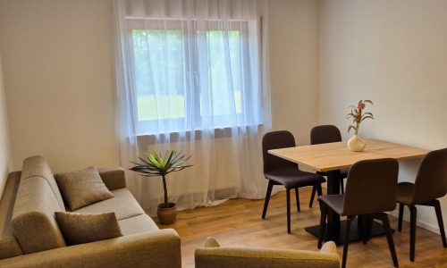 Appartement Premium 1